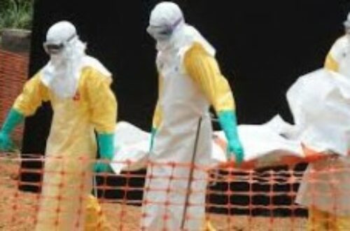 Article : La fièvre hémorragique à virus ébola: une bombe à fragmentation à l’échelle planétaire.